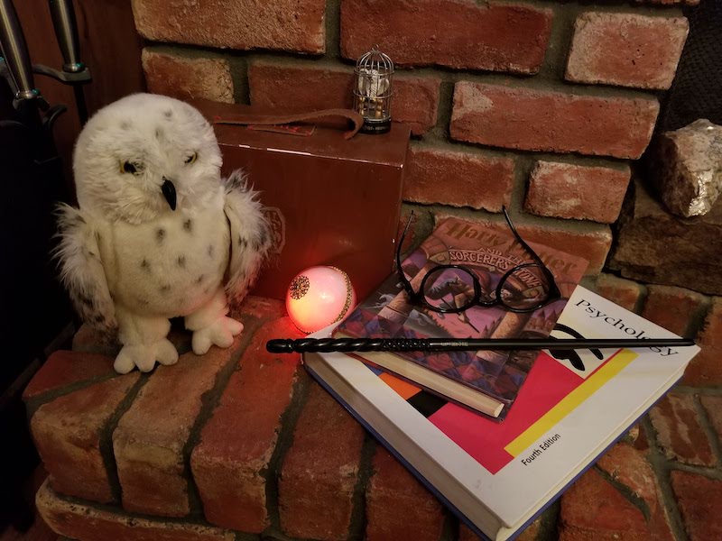 Collection of Harry Potter-themed items including a toy stuffed Hedwig the Owl, wand, glasses, Harry Potter and the Sorcerer’s Stone, psychology textbook, and more. By Amy Pass. 2020.