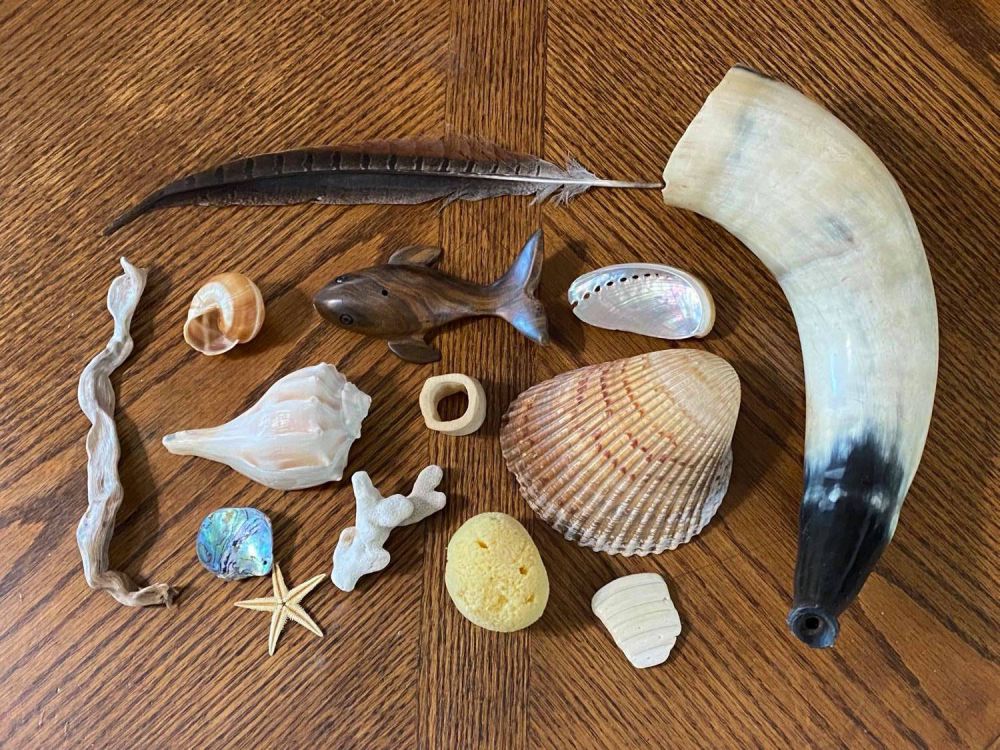Collection of shells, feather, sponge, bone, and more.