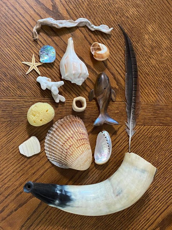 Collection of objects used in the biomechanics class include shells, feather, sponge, bone, and more. Photo by Kathy Oaks. 