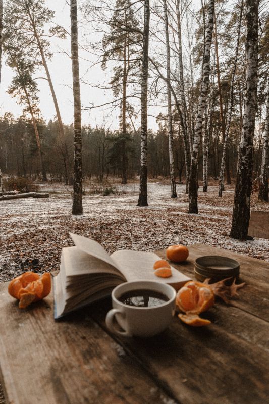 Photo of an open book, a cup of coffee, and two partially peeled oranges on a wooden table outside overlooking a snowy stand of trees in Kyiv, ???????, 2021, by Yuliia Tretynychenko on Unsplash
