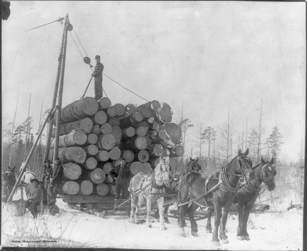 Logging in Park Rapids, Minnesota, 1895. Miscellaneous Items in High Demand, PPOC, Library of Congress, Public domain, via Wikimedia Commons.