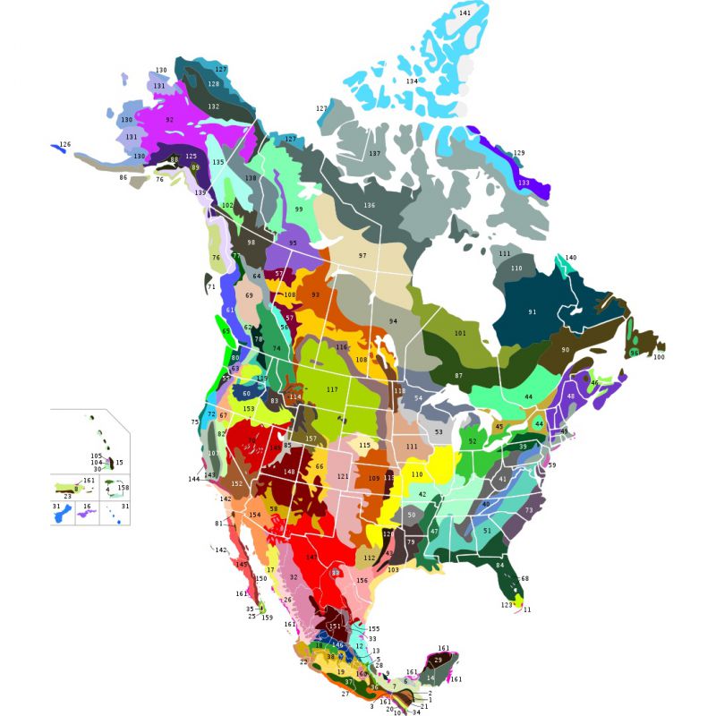 Ecoregions map of Canada, United-States and Mexico from Wikimedia Commons. CC BY-SA 3.0. Original created by Inkscape and uploaded by Cephas from Terrestrial Ecoregions of North America: A Conservation Assessment, by Taylor H Ricketts; et al, 1999 (ISBN 9781559637220).
