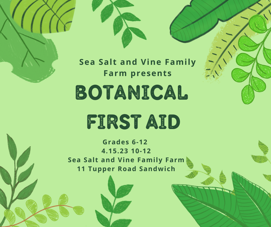 Sea Salt and Vine Gardening