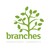 Branches Surprise Logo