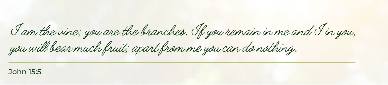 Untitled Header Image