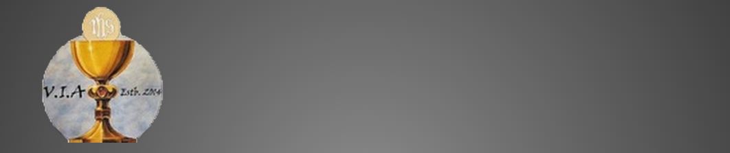 Veritas in Academia-VIA