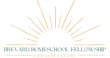 Untitled Header Image