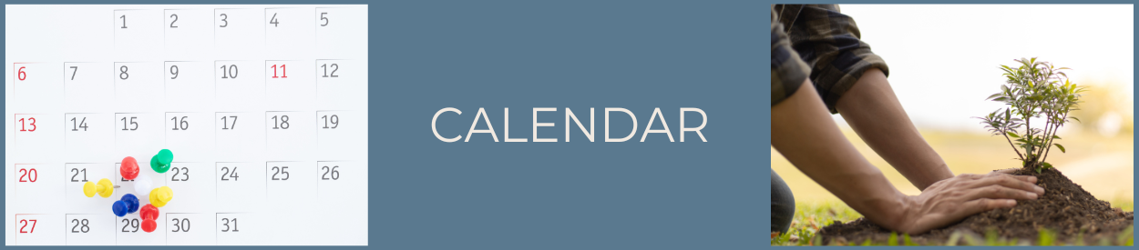 Untitled Header Image