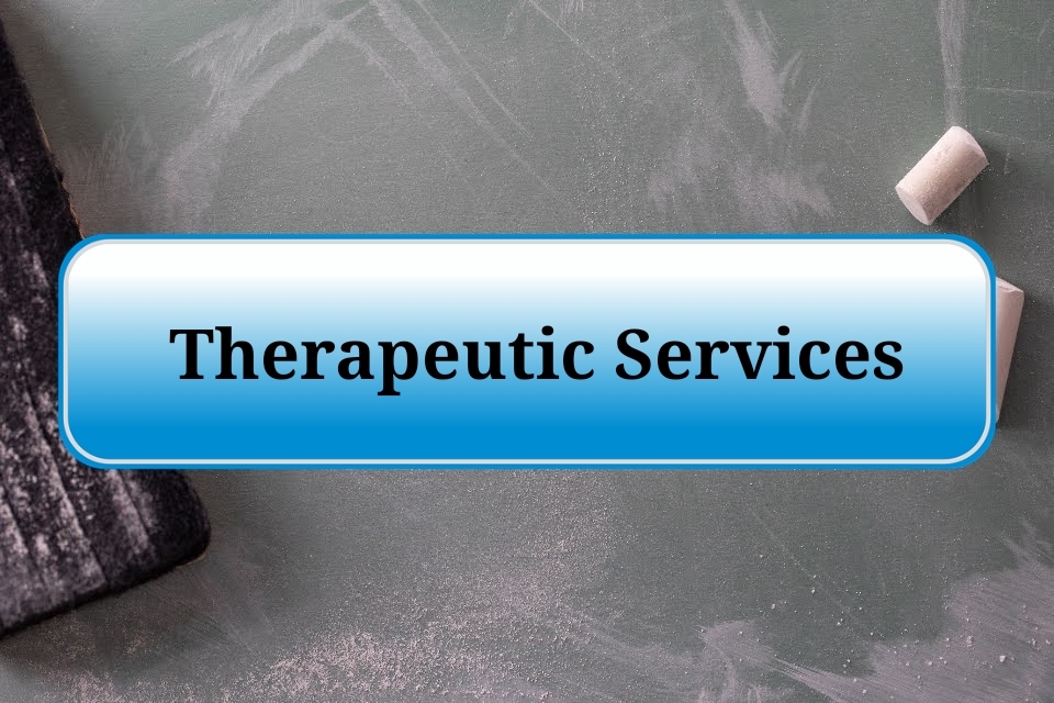 Therapeutic Services
